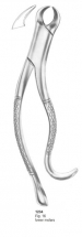  Fig. 16 lower molars 